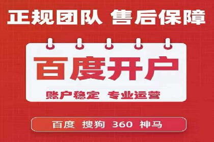 百度优化推广案例：打造行业领先品牌